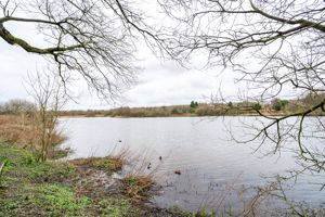 Photo 91- click for photo gallery